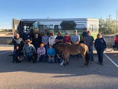 Arizona Equine Rescue