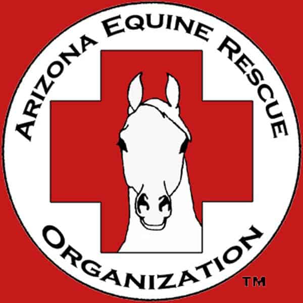 AZ Equine Rescue Organization